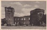 Ak Andernach a. Rh. Burgruine -