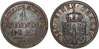 Altdeutschland/ Brandenburg-Preußen 1 Pfennig Wilhelm I. -