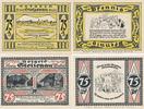 Stolzenau a. d. Weser 75 Pfennig Notgeld des Kreises -