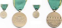 medaille  Dutch Vrijwiligers unz