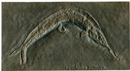 Relief v. Strassacker o. J., Deutschland - BRD, Fossiler Raubfisch Aspidorhynchus acutirostris gußfrisch/fast gußfrisch, verso geringe Farbspuren