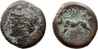 Ancient coins Greek Sicily, Akragas scarce bronze ? from the Reign of the Tyrant Phintias w Wild boar! -