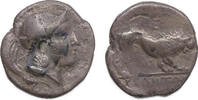 Ancient coins Greek coins: Lucania velia, silver didrachm, Circa 300-280 BC. -