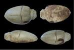 Ancient art Fine Egyptian green hardstone heart scarab, Late period, 664-332 BC -