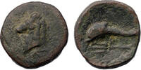 Ancient coins Greek coins: Bronze à of AKARNANIA. Leukas with Horsehead. Circa 300-200 BC. RR! -