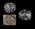 Ancient art Fine hemispheric stamp seal w Zoomorphic design, 5th.-4th. mill. BC -