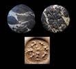 Ancient art Important large hemispheric diorite stone seal, Mesopotamia, Late Uruk -