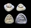 Ancient art Large fine quality triangular stone seal, Mesopotamian, 3rd. mill.BC -