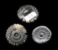 Ancient art Scarce star shaped stamp seal of Western Mesopotamia / East Anatolia -