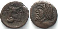 Pantikapaion CIMMERIAN BOSPOROS. Pantikapaion, AE 18mm 325-310 BC, crude style Pan / bull XF -