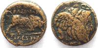   -312 / -281 Seleukids SELEUCIDS AE 18 SELEUKOS I. 312-281 BC Antakya tarihinde ... 28,99 EUR + 7,00 EUR kargo