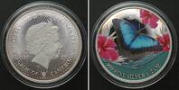 Kamerun CAMEROON. 500 Francs 2023 Common Morpho CARIBBEAN LIFE silver RHODIUM -