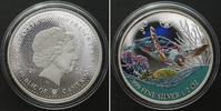 Kamerun CAMEROON. 500 Francs 2023 Hawksbill Seaturtle CARIBBEAN LIFE silver RHODIUM -