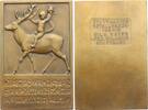 Gelegenheitsmedaillen Bronzeplakette Das Jahr 1912. -