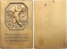 Gelegenheitsmedaillen Bronzeplakette Das Jahr 1911. -