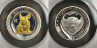 Palau 5 Dollars 2019 1 Oz silver- Year of the Pig- partly gold-plated PP 2,338.75 元  ＋  194.90 元 运费