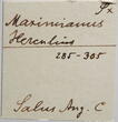 Maximianus Antoninianus - SALVS AVGG - Lyon - Grohs-Fligely collection 1875-1962