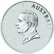 Australien 1 Dollar Silver coin 1 oz Australia Brumby Color 2025 Silver Coin 999 Perth Mint Uncirculated