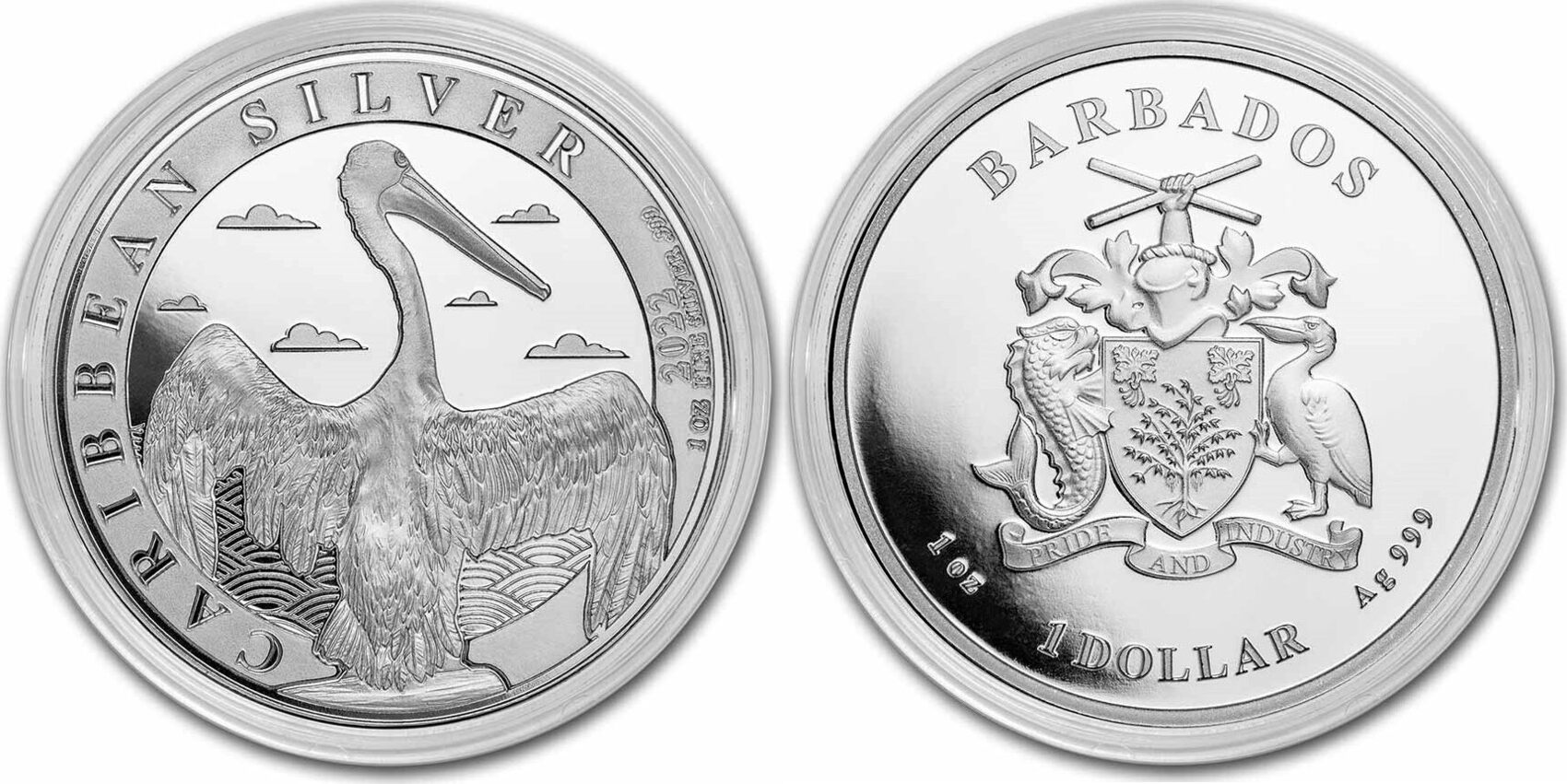 Barbados 1 Dollar 2022 Caribbean Pelican 1 oz Silvercoin Brilliant ...