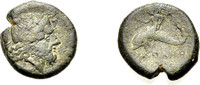  AE Bronze 264-241 v. Chr. GRIECHISCHE MÜNZEN LUKANIEN: POSEIDONIA (ALS ... 180,00 EUR  +  8,00 EUR shipping