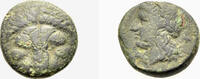  AE Bronze 351-280 v. Chr. GRIECHISCHE MÜNZEN BRUTTIUM: RHEGION Schön-se... 50,00 EUR  +  8,00 EUR shipping