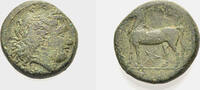  AE Bronze um 280 v. Chr GRIECHISCHE MÜNZEN NOUKERIA (NUCERIA) Knapp seh... 120,00 EUR  +  8,00 EUR shipping