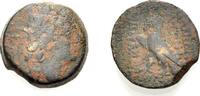  AE Bronze 122-121 v. Chr. KÖNIGREICH DER SELEUKIDEN ANTIOCHOS VIII. GRY... 25,00 EUR  +  8,00 EUR shipping