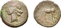  AE Bronze 264-241 v. Chr. GRIECHISCHE MÜNZEN ZEUGITANIA: KARTHAGO Sehr ... 90,00 EUR  +  8,00 EUR shipping