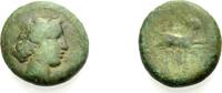  AE Bronze 4. Jh. v. Chr. GRIECHISCHE MÜNZEN BRUTTIUM: TERINA Schön  30,00 EUR  +  8,00 EUR shipping