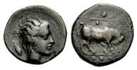  AE Tetras 420-405 v. Chr. GRIECHISCHE MÜNZEN SIZILIEN: GELA Sehr schön  160,00 EUR  +  8,00 EUR shipping