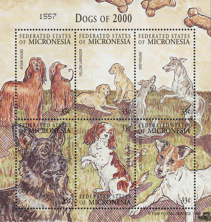 Почтовые марки собаки. Степ пазлы кони. Пазлы лошади 260 элементов. 2000 dogs в рублях. Почтовая марка с далматинец.