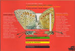 Niederlande Niederlande ** 1993 - Natur und Umwelt -