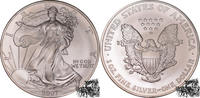 Vereinigte Staaten 1 Dollar 1 Dollar 2007 Eagle -