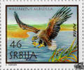Österreich Serbien ** - Seeadler -