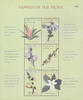 Mikronesien Mikronesien 2000 ** - Blumen der pazifischen Inseln -