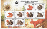 Slowenien Slowenien 2007 ** - Europäisches Eichhörnchen -
