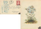 Österreich Österreich 1951 Brief, S. 1,00 - Kremser Schmidt - Postkarte -