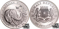 100 Shillings 2018 Somalia 100 Shillings 2018 - Elefant PP