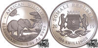 100 Shillings 2019 Somalia 100 Shillings 2019 - Elefant PP