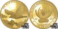 100 France 100 Francs 2021 - Kongo, Weißkopfseeadler PP