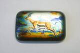 2024 2 oz Silber-Motivbarren - Der afrikanische Springbock in Farbe Im Etui mit Umverpackung & Zertifikat
