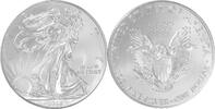 Amerika, Vereinigte Staaten, USA 1 Dollar 1 oz American Eagle -
