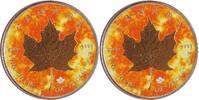 5 Dollars 2023 Kanada 1 oz Maple Leaf (Sunshine) ST mit Umverpackung