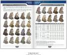 France Livre cotation 2023 Arnaud Clairand - Royal french coins and revolution 1610-1794