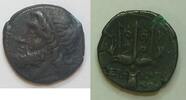  AE 275 - 215 v. C Sizilien Siracus - Sicilien Hieron II. 275 - 215 v. c... 108,00 EUR incl. VAT., +  14,00 EUR shipping