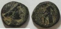  AE 14/15 226-222 v.Chr. Syrien Seleucus III ss  40,50 EUR incl. VAT., +  14,00 EUR shipping