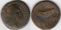 Roman Empire 50-30 BC ancient Hispania Celse (Zaragoza) As, 50-30 BC (H67)  160.00 US$ free shipping