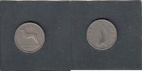 Ireland 6 Pence DOG KM.13A. -