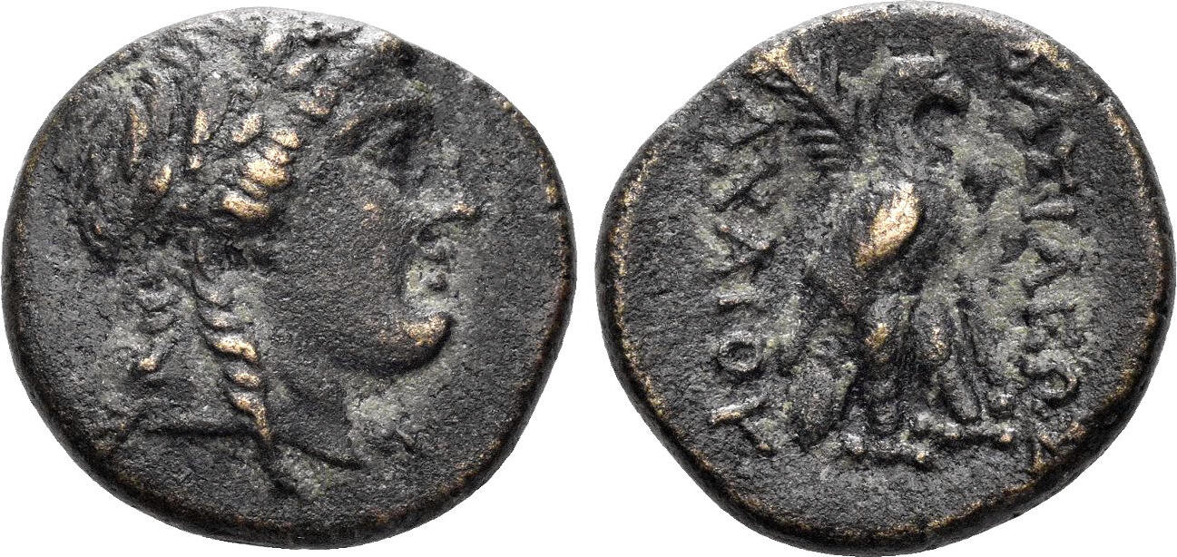 Seleukid Kingdom AE 19 Achaios, usurper in Asia Minor. 220-214 BC. Eagle on  palm-branch | MA-Shops