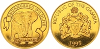 Gambia 20 Dalasis Gold Picture
